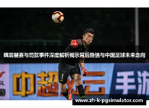 魏震禁赛与罚款事件深度解析揭示背后隐情与中国足球未来走向