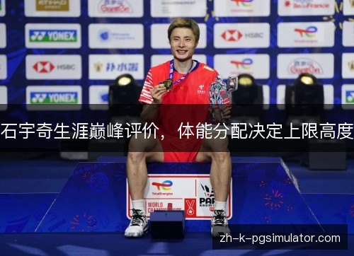 石宇奇生涯巅峰评价，体能分配决定上限高度